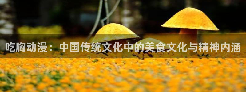 omofun官方app下载：吃胸动漫：中国传统文化中的美食文化与精神内涵